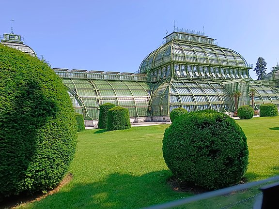 Schönbrunn_Palmenhaus.jpg