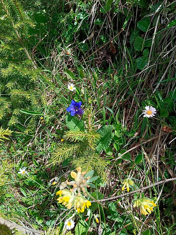 8.3__Wanderung_Unterhofalm.jpg  